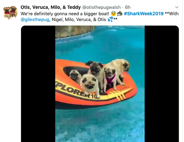 Shark Week on Twitter